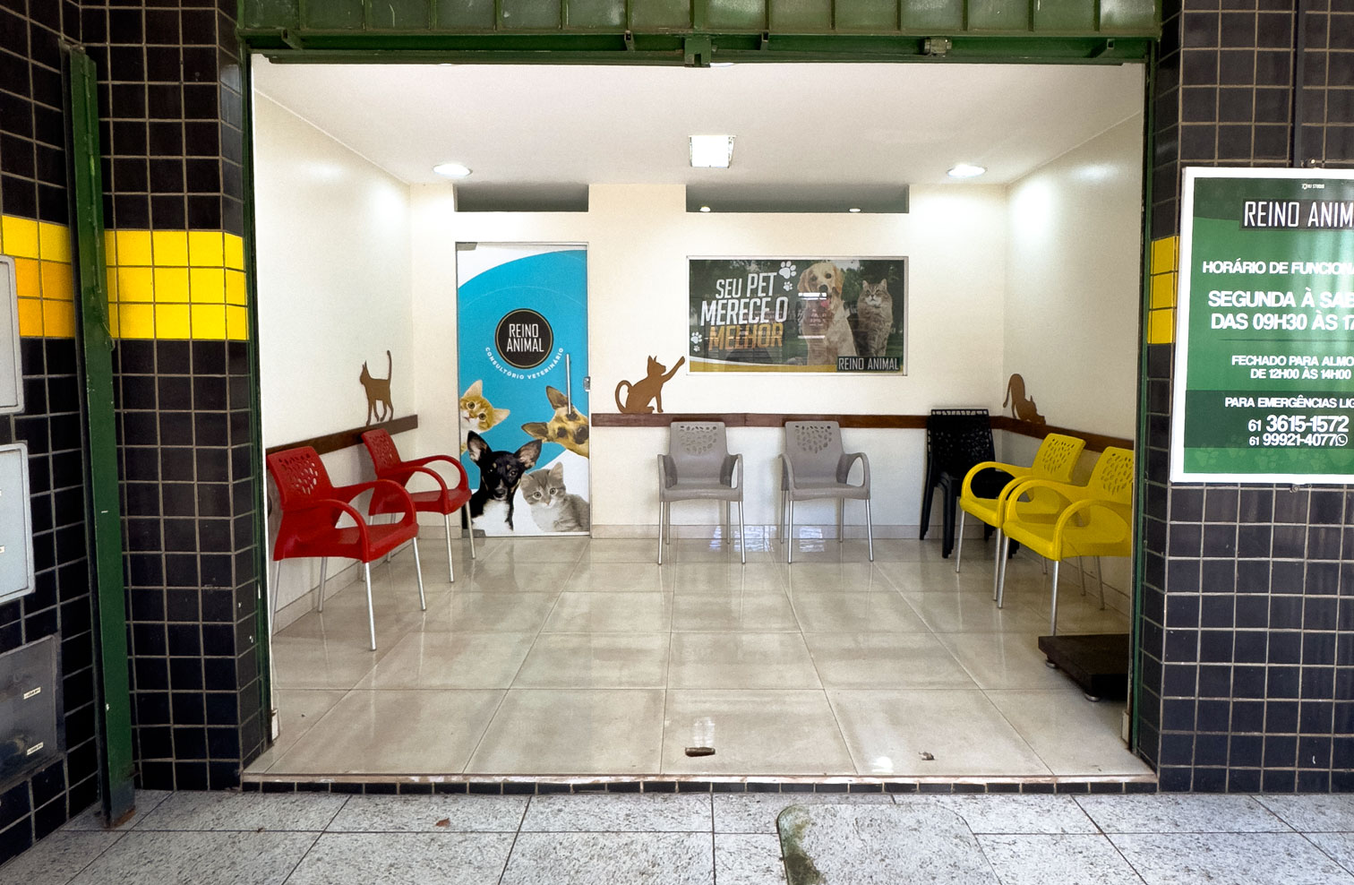 Reino-Animal---Santa-Maria-03